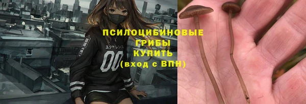 дурь Верея