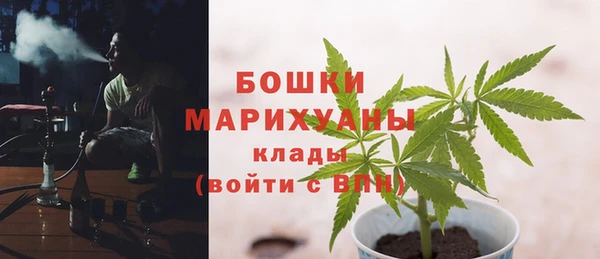 дурь Верея
