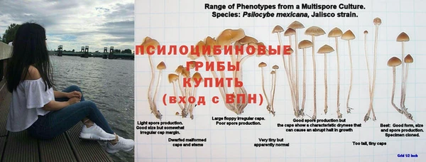 трава Верхний Тагил