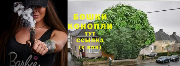 дурь Верея