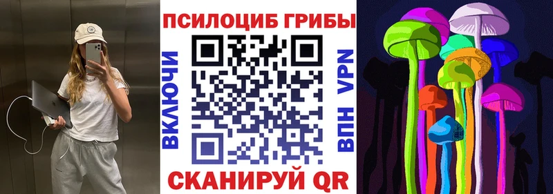 Псилоцибиновые грибы прущие грибы  Кашин 
